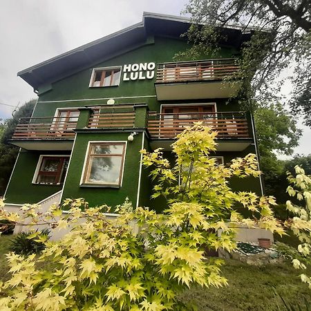 Willa Hono Lulu Busko-Zdrój Buitenkant foto