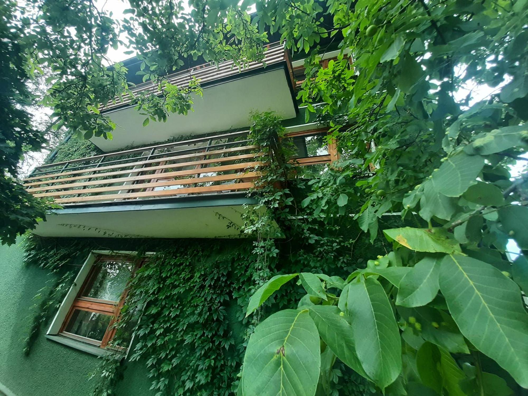 Willa Hono Lulu Busko-Zdrój Buitenkant foto